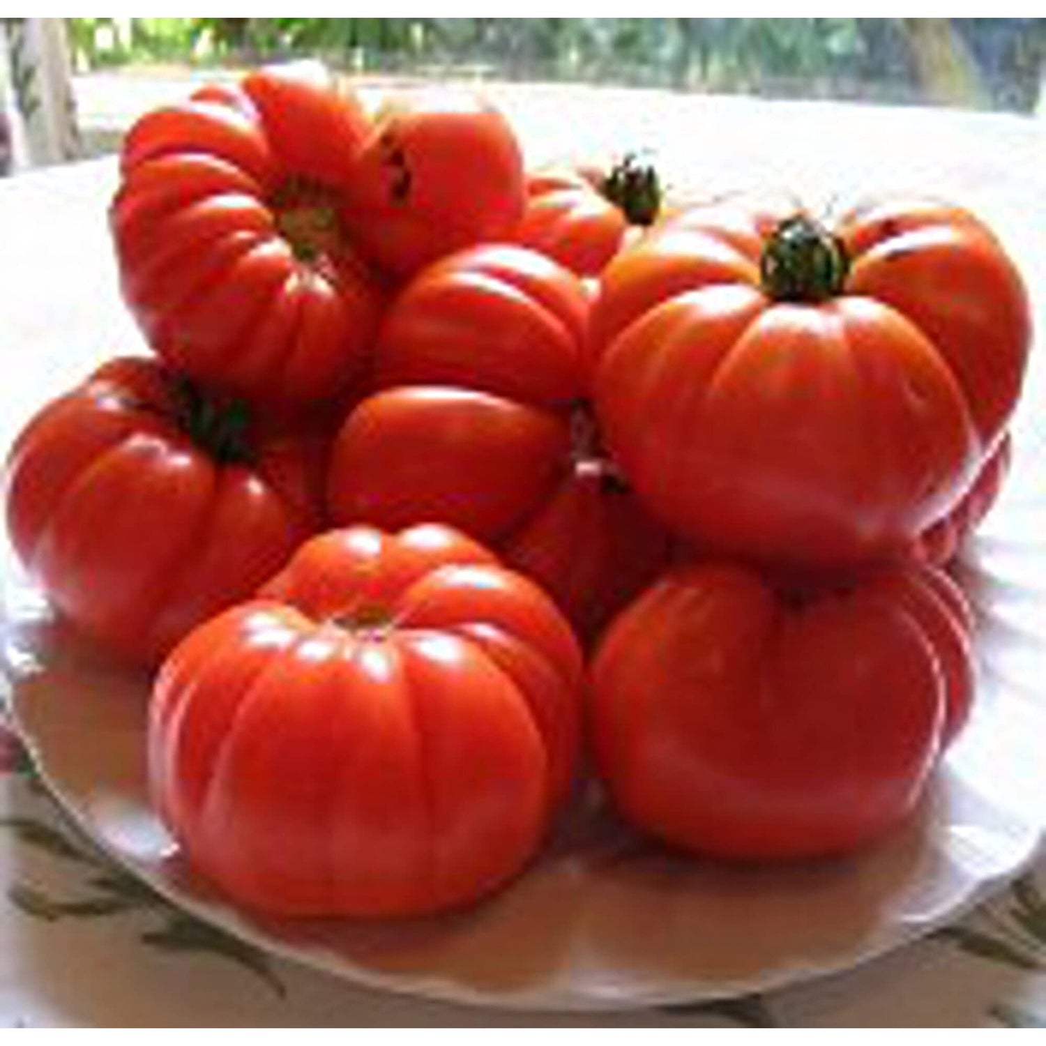 Aussie Tomato Paste Seeds for Planting Home Vegetable Kitchen Garden
