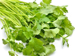 Cilantro Seeds for Indoor and Outdoor Herb Gardens Scientific Name Placeholder for planting in home garden