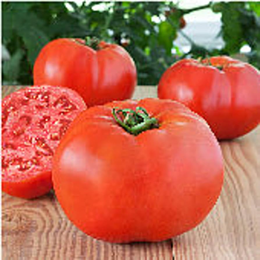 Heirloom Bell von Irland Tomato - Seeds for Non-GMO, Flavorful Tomato Harvests