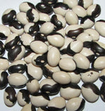Certified Organic Calypso Bush Bean Heirloom Non Gmo Image