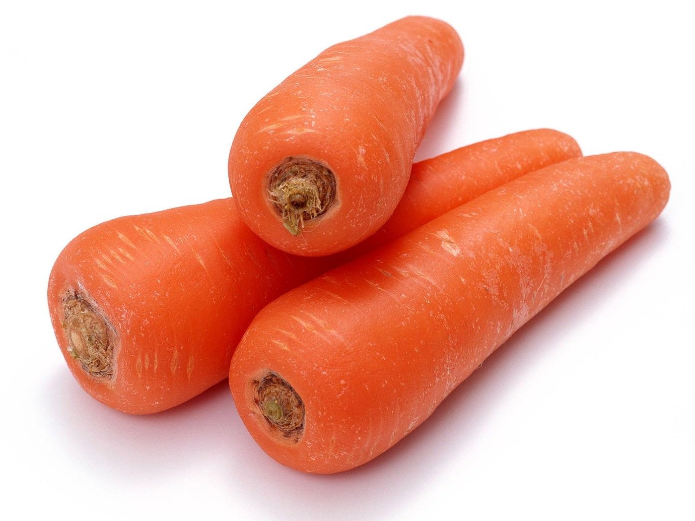 Red Giant Organic Russian Heirloom Vegetable Seeds, Rettichsamen Karotten Krasnyy Velikan