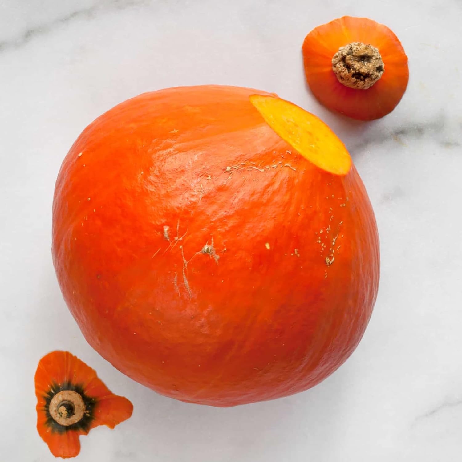 Red Kuri Squash Seeds