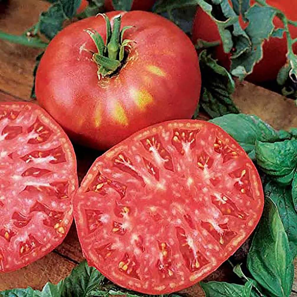 Brandywine Red Tomato Seeds