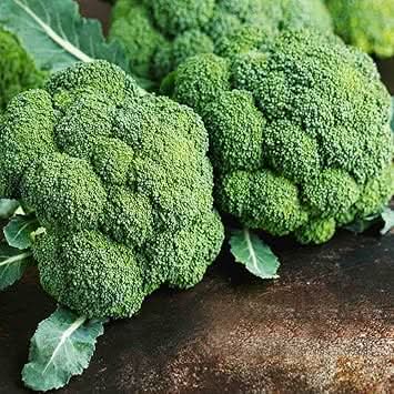 Broccoli Seeds for Planting