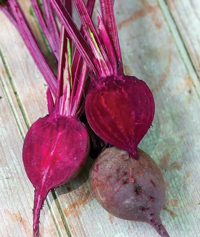 Detroit Red Beet Heirloom Non-GMO Vegetable Seeds