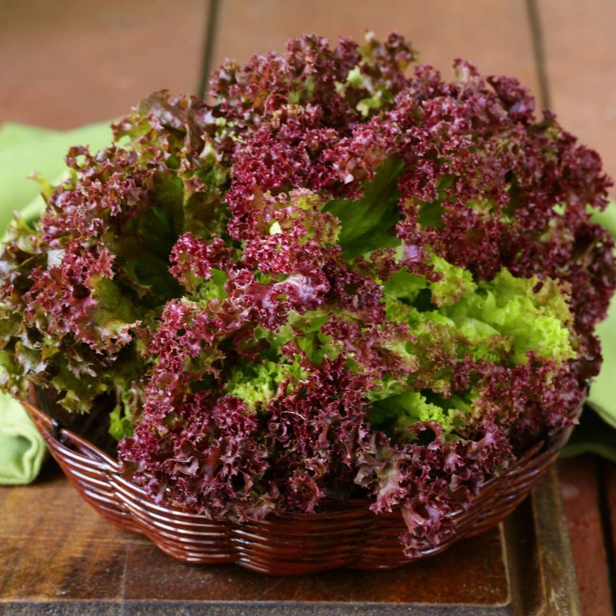 Lettuce Lollo Rosso – Heirloom, Non-GMO, High Germination Organic Garden Seeds
