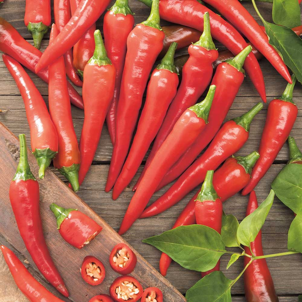 Sweet Chilli Pepper Seeds for Planting