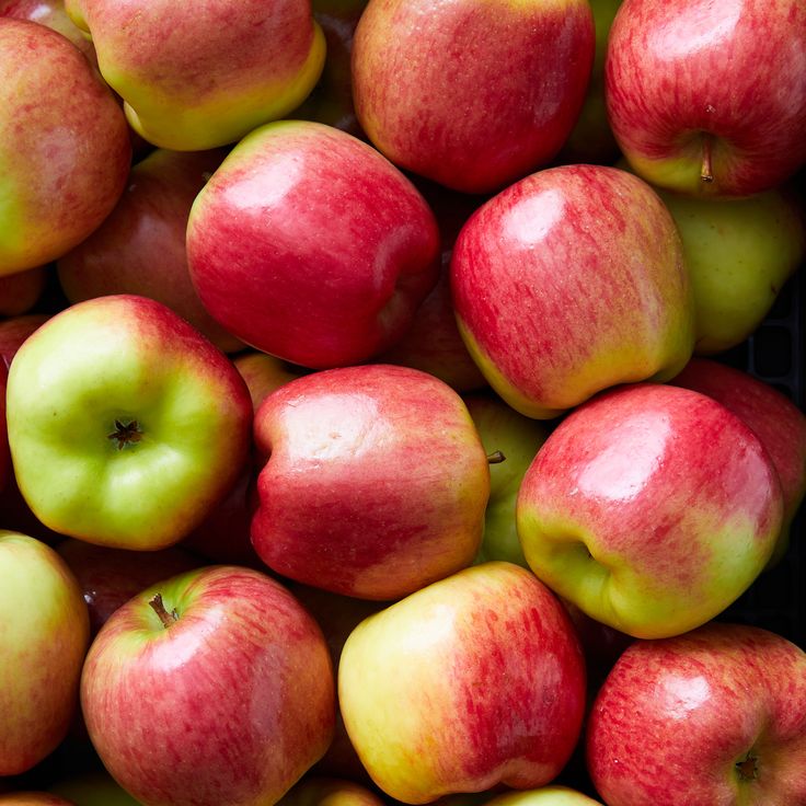 Ambrosia Apple Seeds (Malus domestica 'Ambrosia')