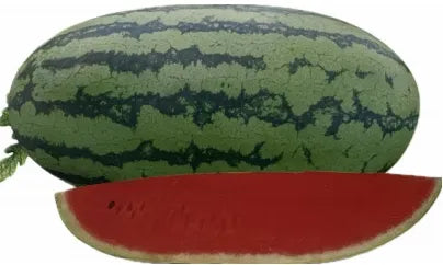 Days Long Oval Shape Watermelon For Sowing – Heirloom, Non-GMO, High Germination Organic Garden Seeds