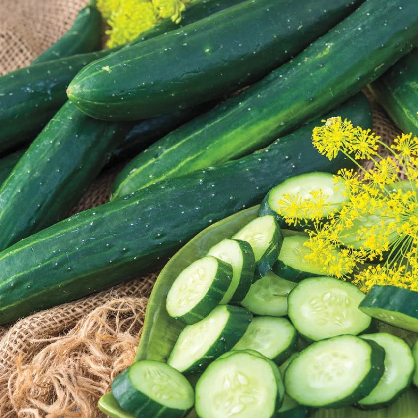 Cucumber Seeds - Tasty Green