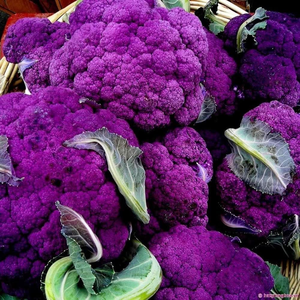 Purple Sprouting Broccoli Non-GMO Heirloom Plant Seeds