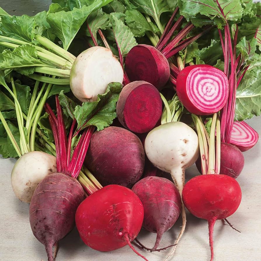 Rainbow Beet Blend Seeds pcs Non-GMO
