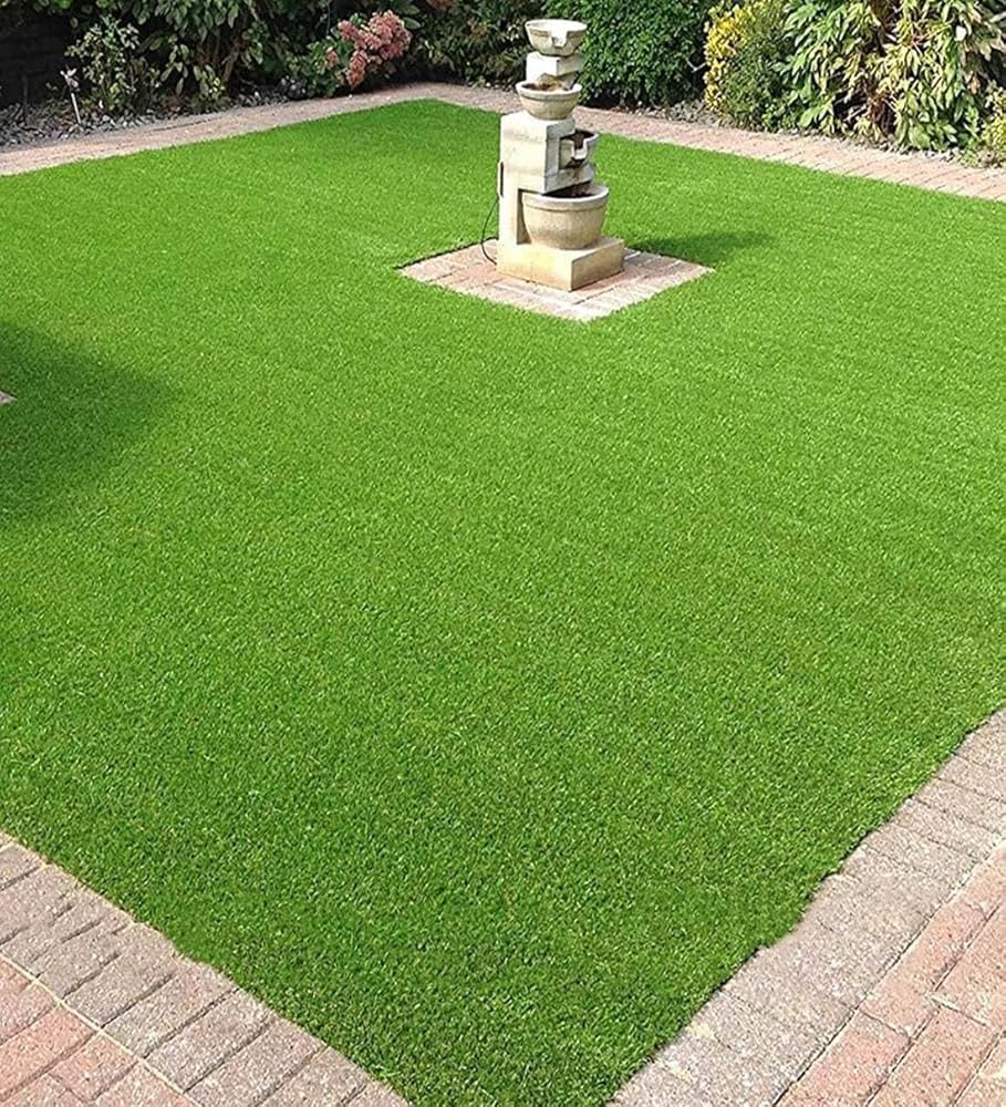 Grass Zoysia Japonica Japanese Green Lawn Seeds for Planting – Ideal for Home Garden and Ground Cover