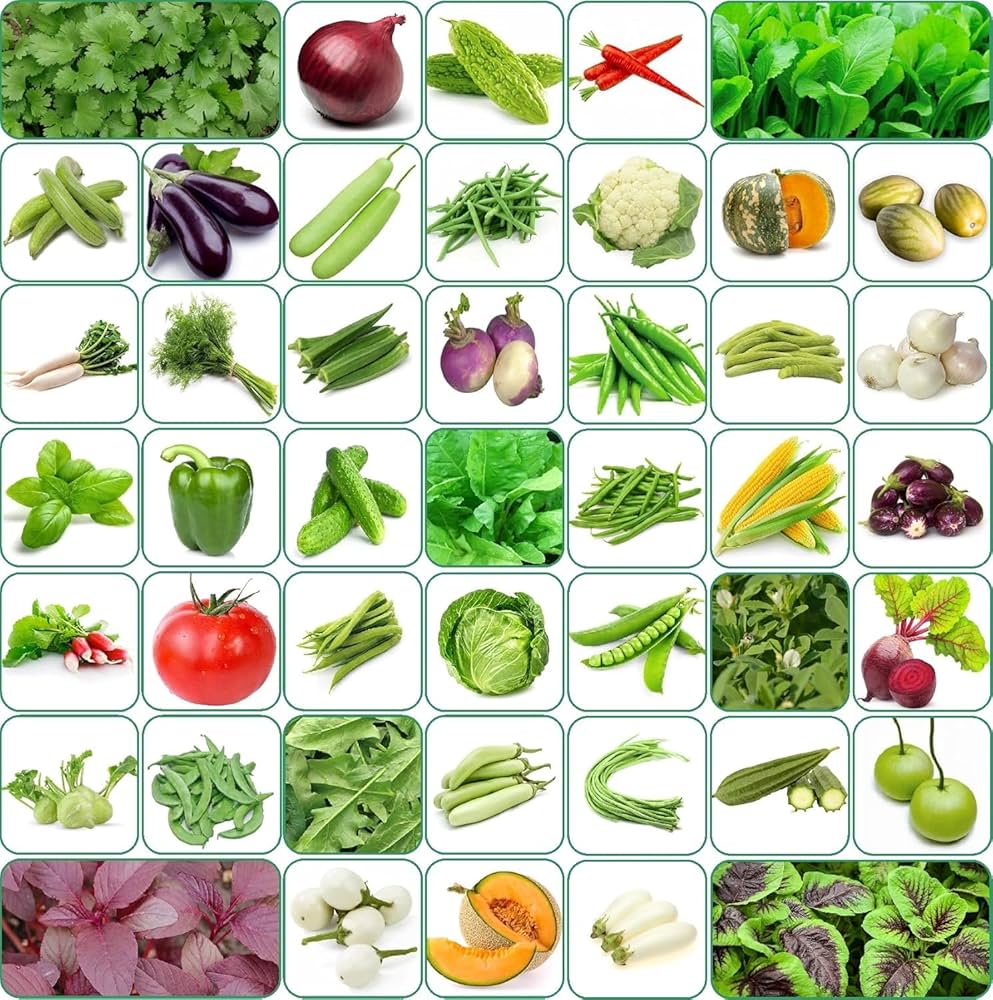 Ultimate Garden Vegetable Seed Collection – Heirloom, Non-GMO, High Germination Organic Garden Seeds