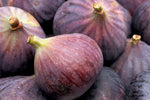 Sweet King Fig Ficus carica seeds for planting in home garden