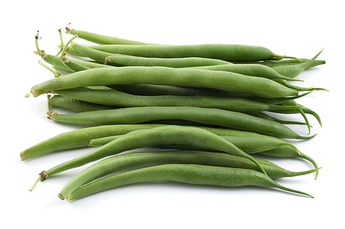 Green Bean Phaseolus vulgaris vegetable seeds for planting in vertical garden or home garden beds