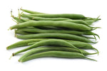 Green Bean Bush Prevail seeds for planting in vegetable garden