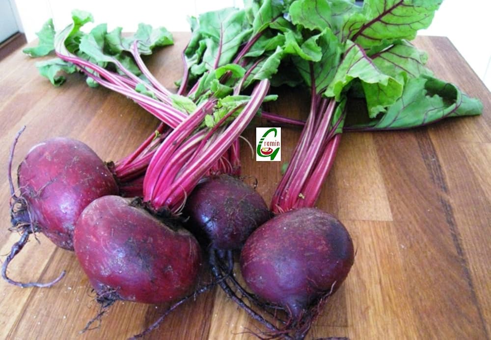 Merlin Beet Seeds – Sweet Root Veg – Plant Today – Dharaseeds