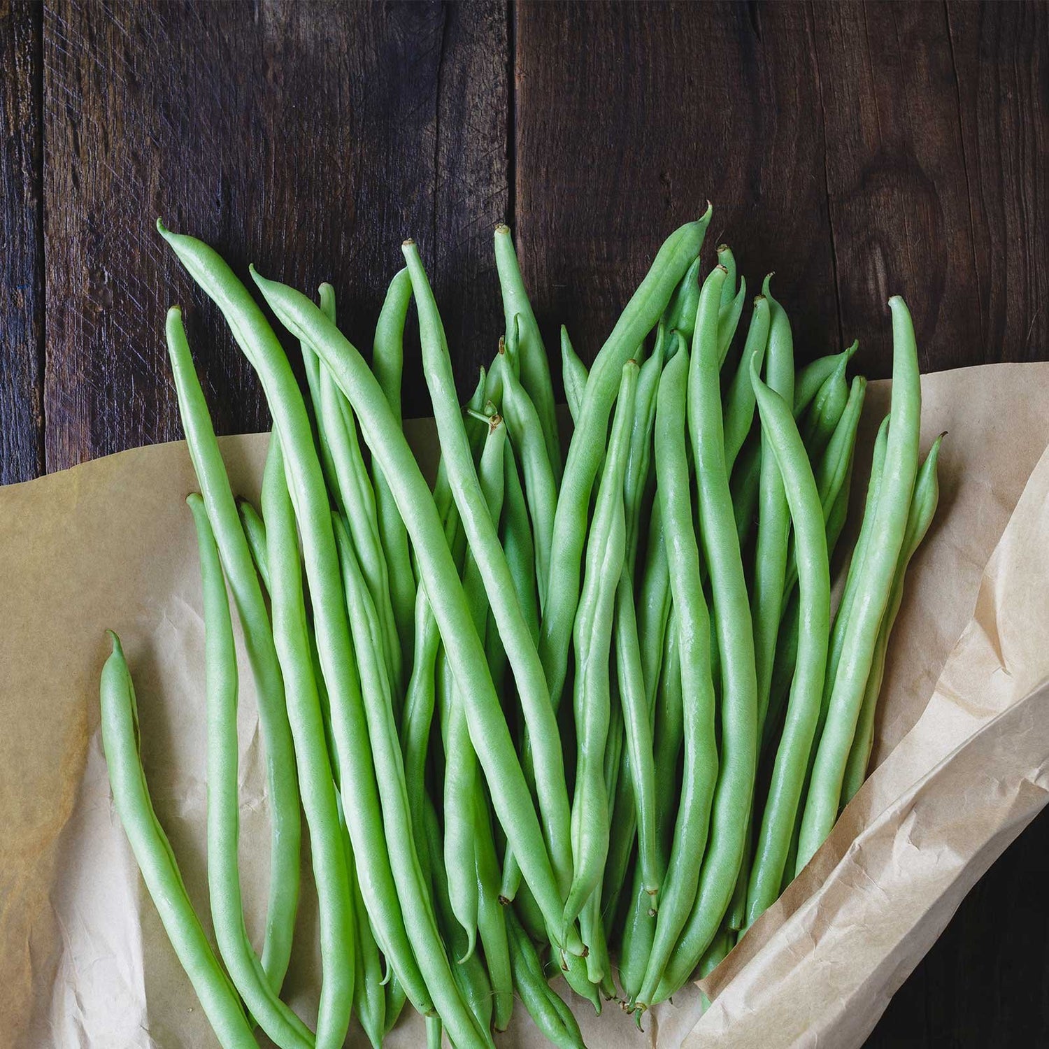 Blue Lake Bush Bean Seeds,