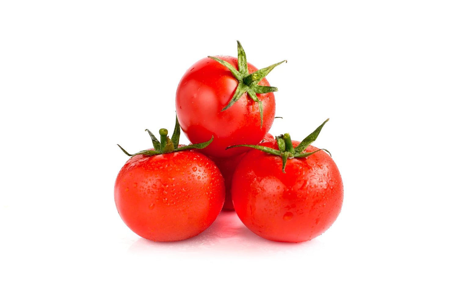 MoneyMaker Organic Tomato Seeds | Classic Reliable Red Heirloom Tomatoes – Heirloom, Non-GMO, High Germination Organic Garden Seeds