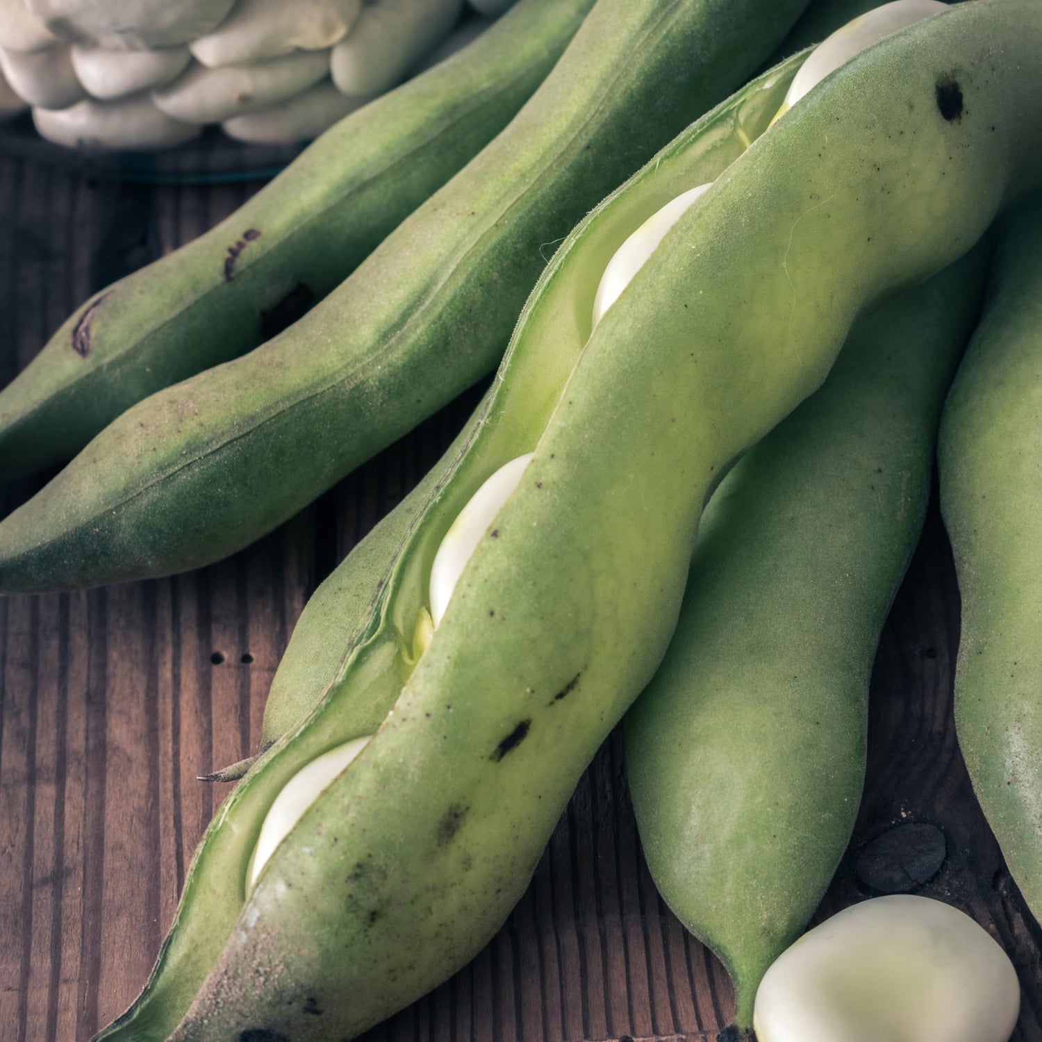 Green Aquadulce Bean Seeds for Planting