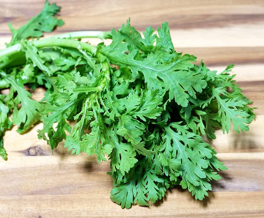 Chrysanthemum coronarium Garden Seeds