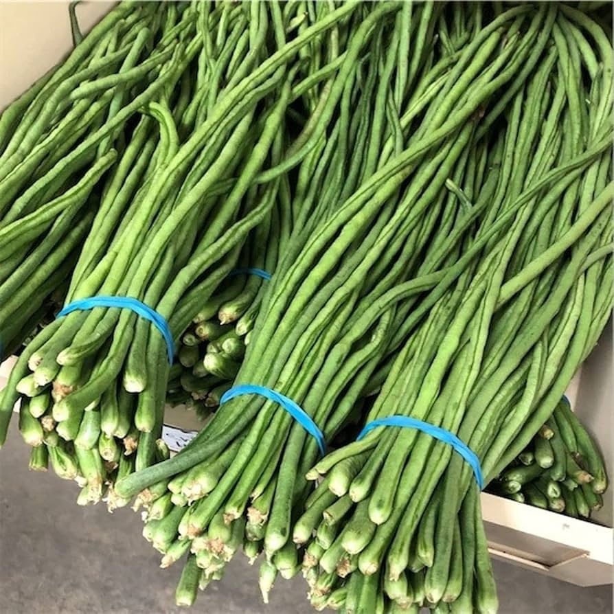 Snake Bean Vegetable Seeds for Planting
