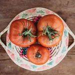  large, ribbed bright red Brandywine tomatoes on vigorous green vines

