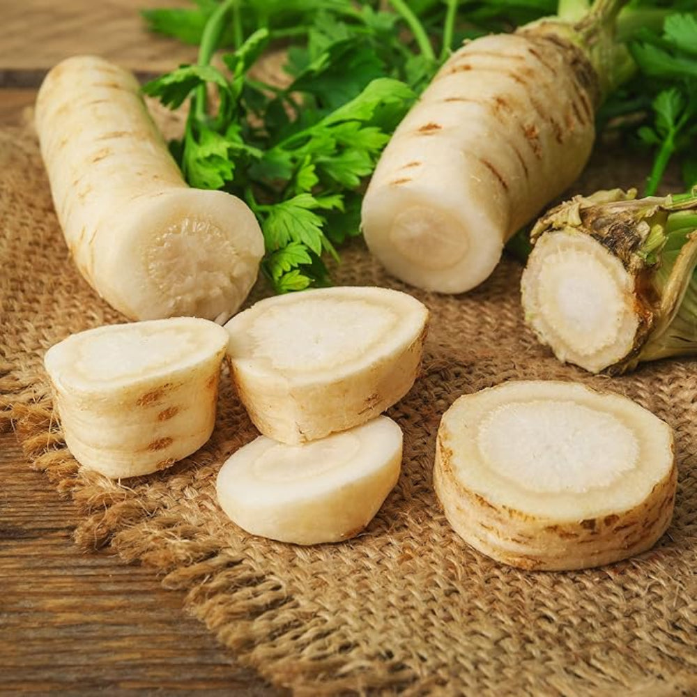 Parsley Hamburg Petroselinum crispum herb seeds for planting in kitchen garden or raised beds