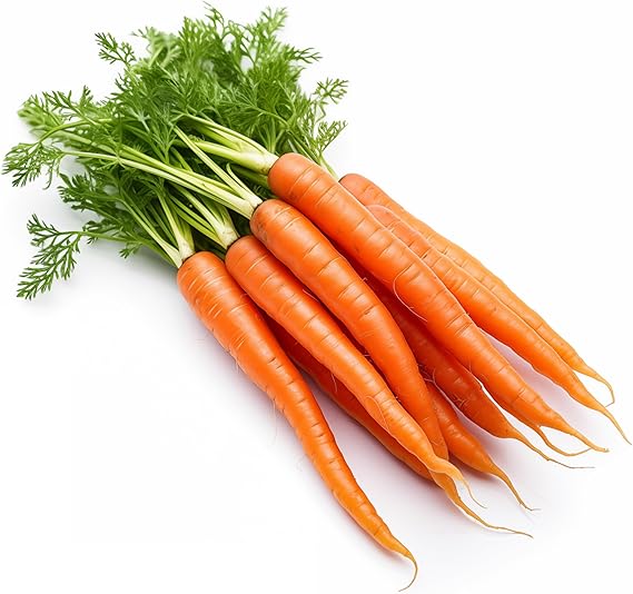 Carrot Daucus Carota and Radish Raphanus Sativus Orange Mix Vegetable Seeds for Planting – Pink Weight Loss Garden Blend