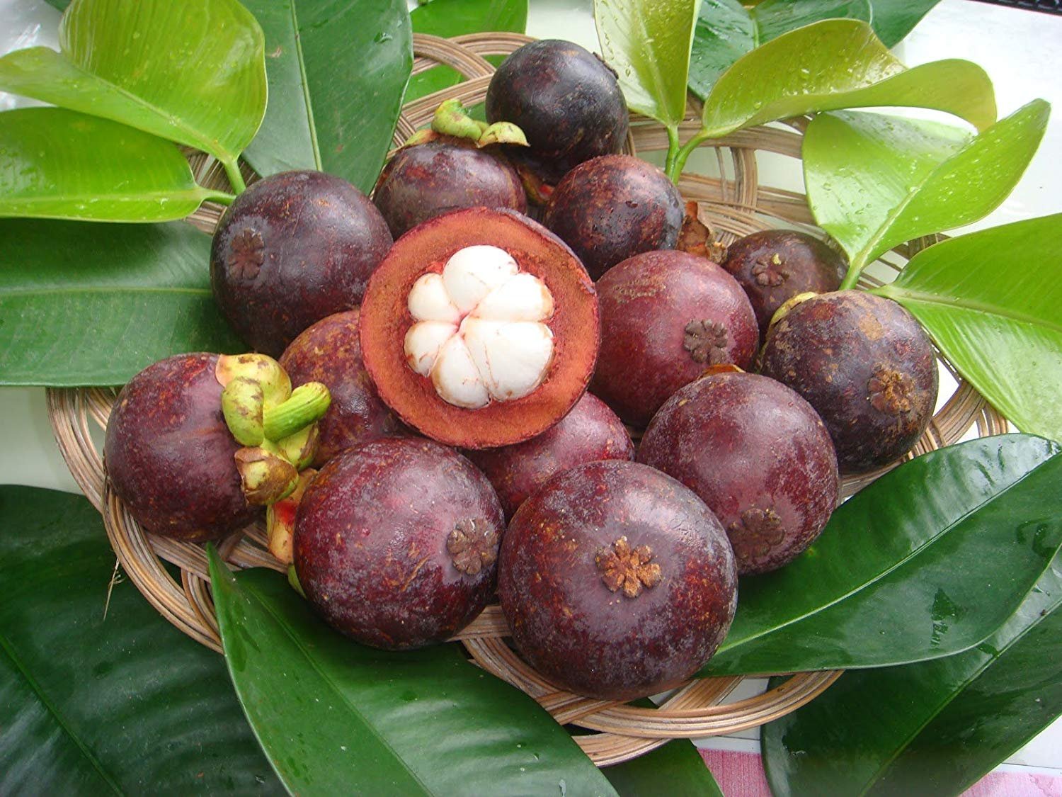 Purple Mangosteen (Garcinia mangostana) – Exotic, Sweet, and Juicy Tropical Fruit