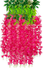 Lanterna Fuchsia Hanging Flowers