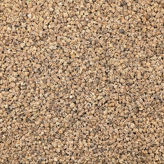 Beet Beta Vulgaris Detroit Red Heirloom Non-GMO Vegetable Seeds for Planting – Perfect for Root Vegetable Gardens