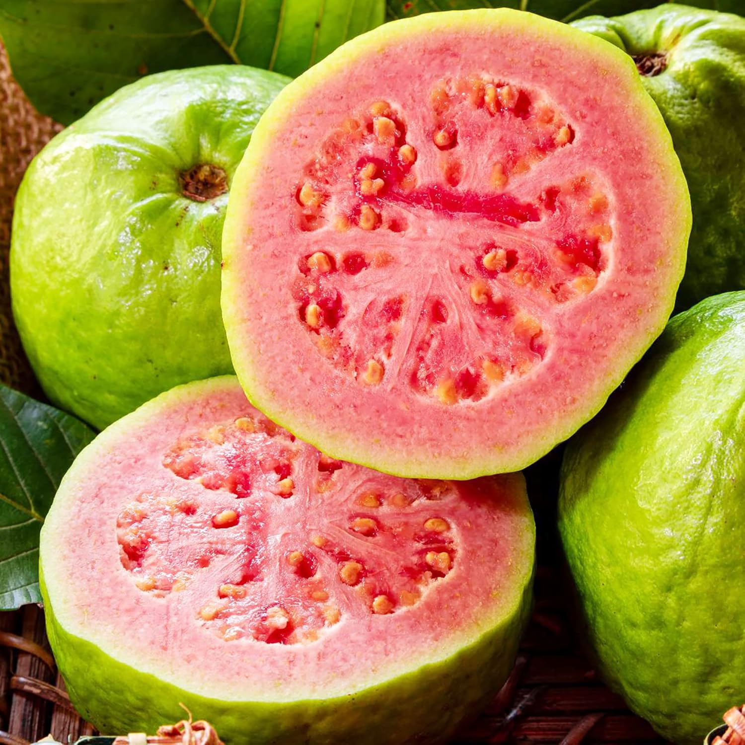 Guava Seeds - Red Psidium Guajava