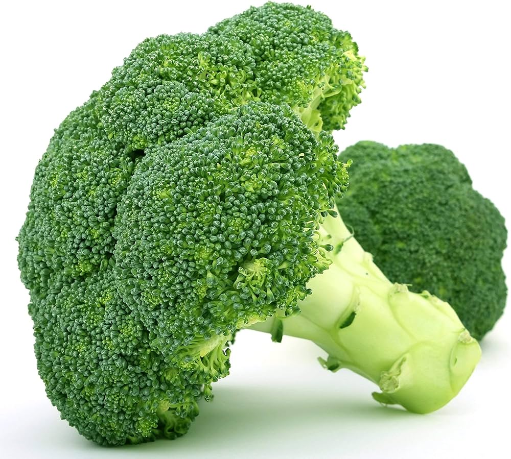 Broccoli Brassica Oleracea De Cicco Non-GMO Organic Vegetable Seeds for Planting – Great for Early Harvests in Home Gardens