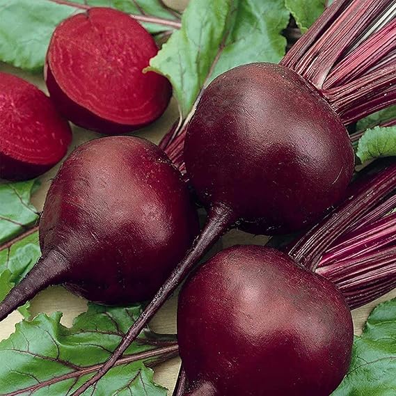 Beet Beta Vulgaris Detroit Red Heirloom Non-GMO Vegetable Seeds for Planting – Perfect for Root Vegetable Gardens