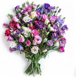 Mixed Lisianthus Sapphire Flower Seeds for Planting - Heirloom, NON-GMO, Easy Grow Blooms seeds for planting in home garden
