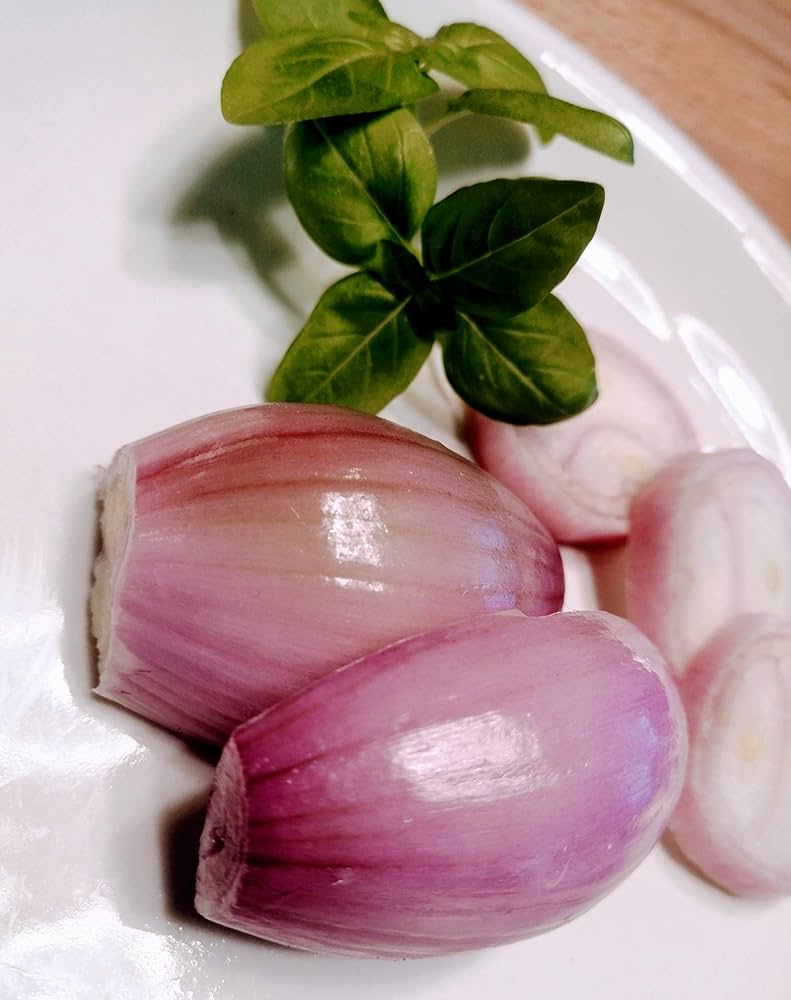 Italian Red Torpedo Onion Seeds for Planting Heirloom Tropea Sweet Seeds