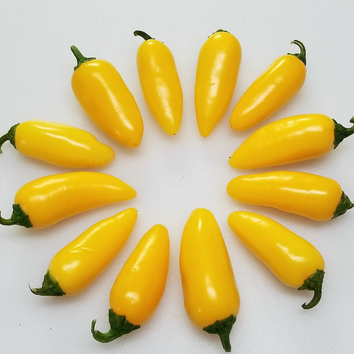 Lemon Jalapeno Pepper Seeds – Heirloom, Non-GMO, High Germination Organic Garden Seeds
