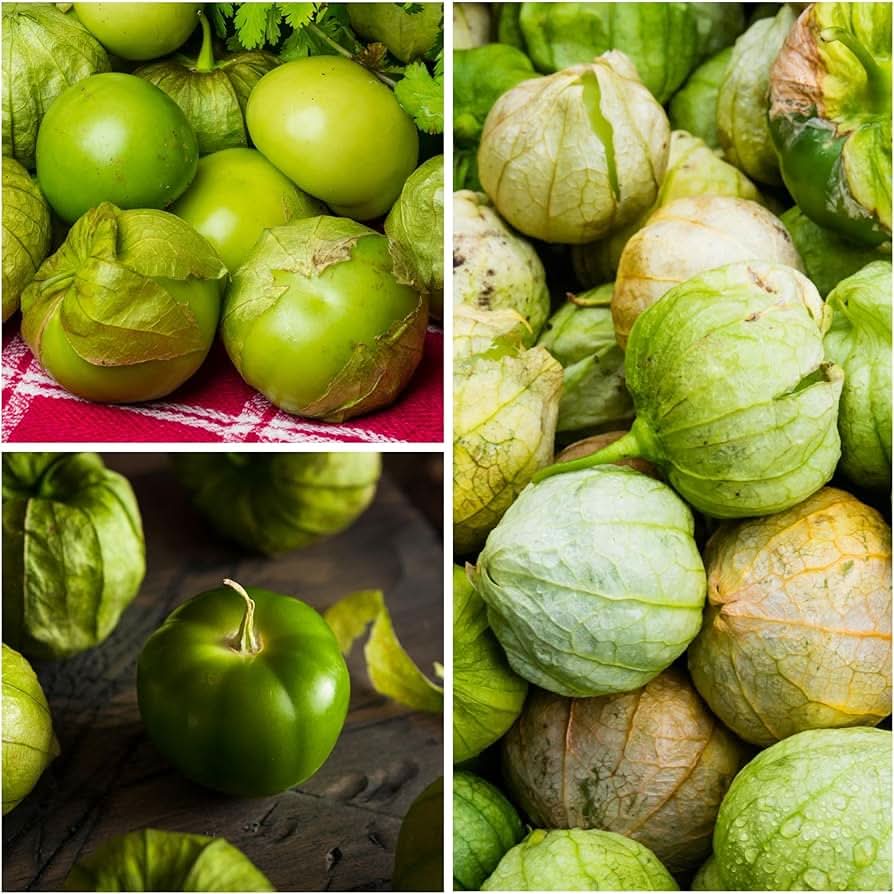 Tomatillo Physalis philadelphica vegetable seeds for kitchen garden and container planting