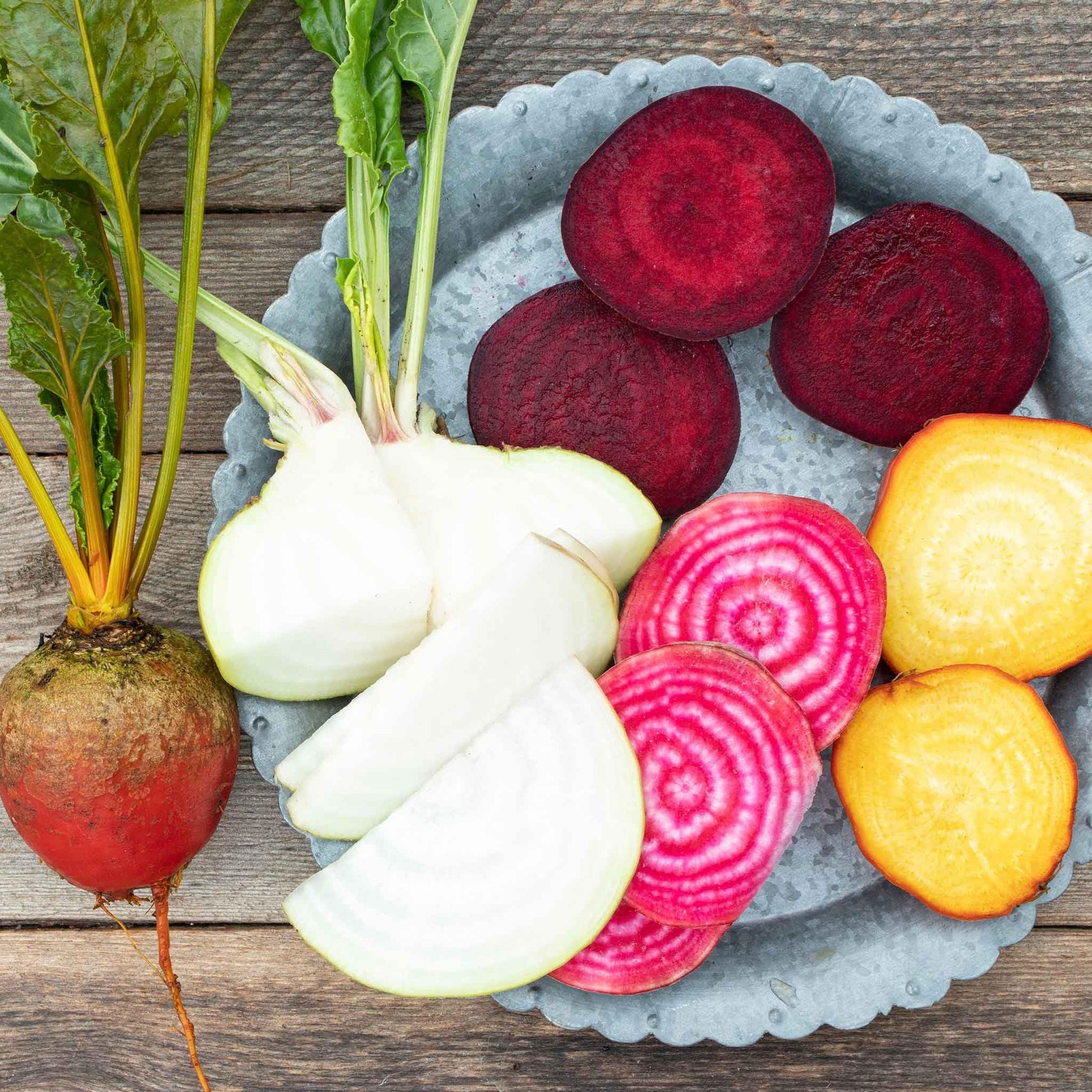 Rainbow Beet blend seeds