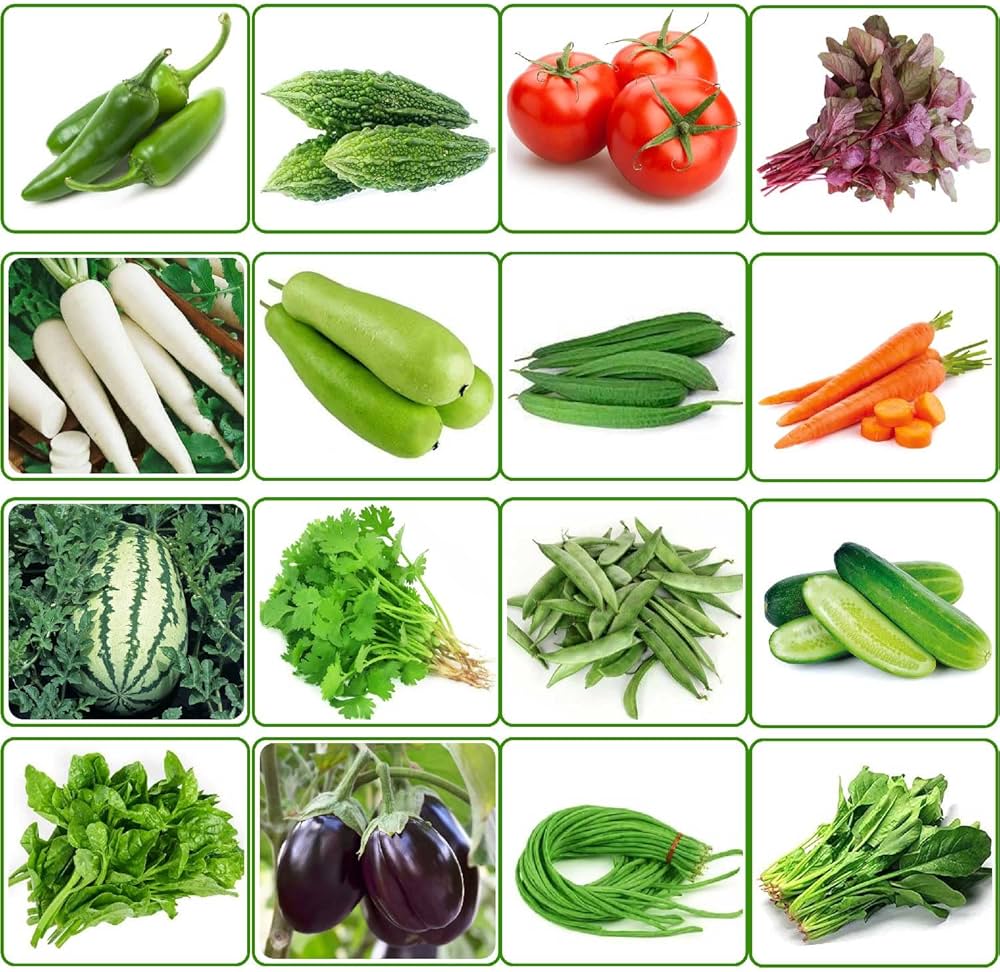 Vegetables Assorted Species Mixed Seeds for Planting – Suitable for Kitchen Garden and Seasonal Backyard Cultivation