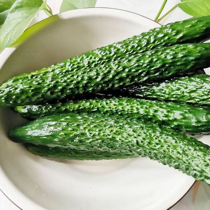 Japanese Long Cucumber Seeds for Planting - Heirloom & Non-GMO garden Seeds