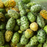 Horned Cucumber Kiwano Seeds for Unique, Spiky Cucumber Fruits