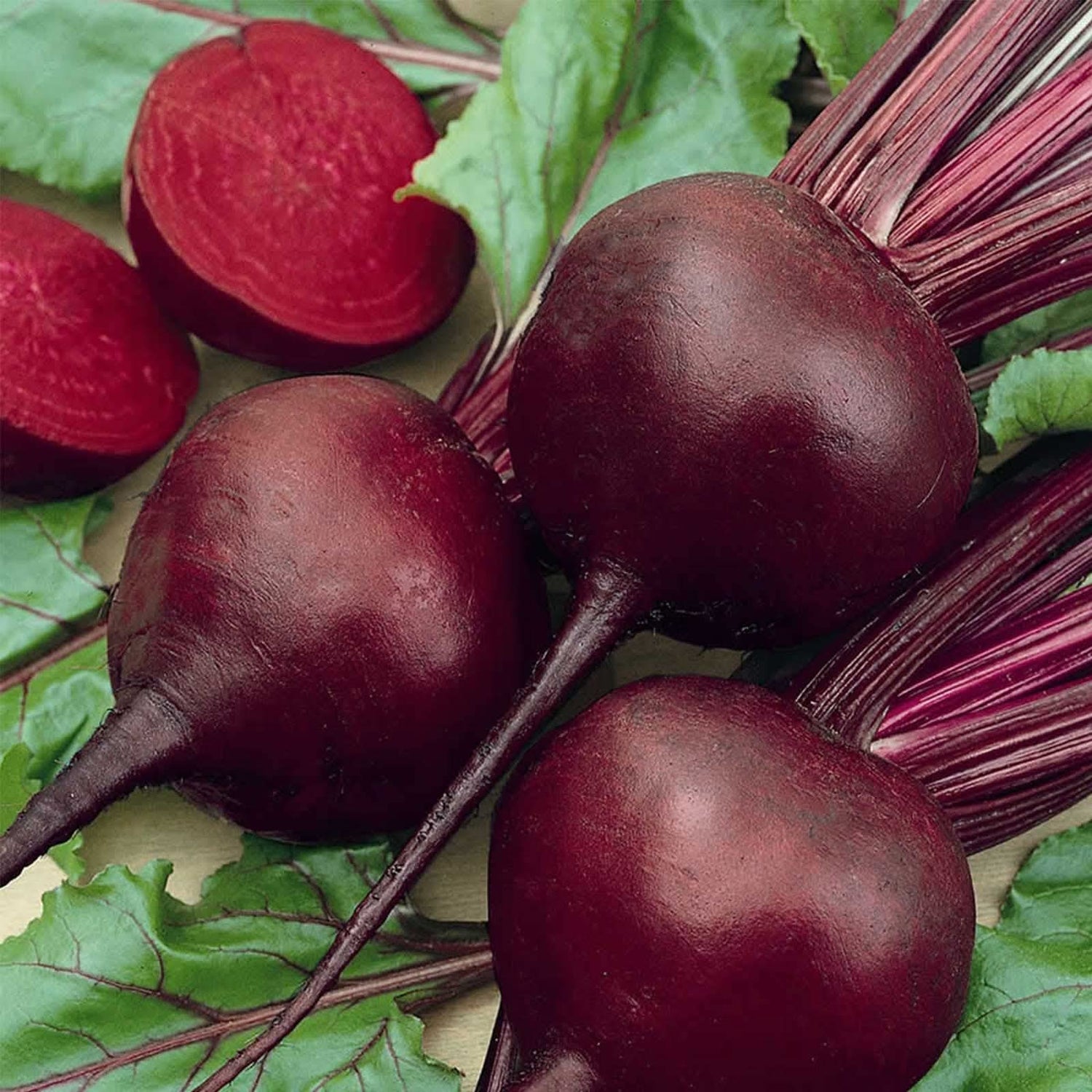 Detroit dark red beet grown from heirloom seeds with round, deep red roots and sweet taste