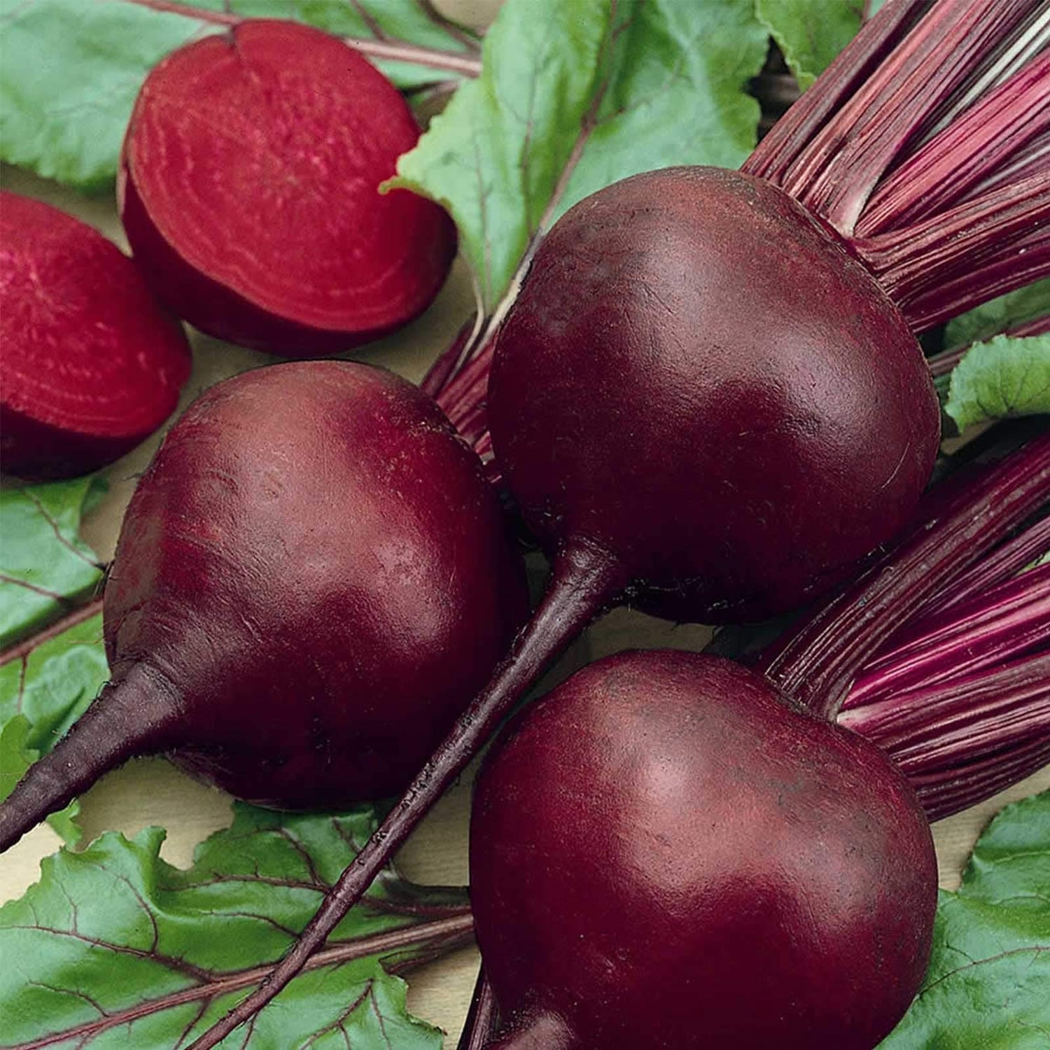 Detroit Dark Red Beet Seeds | Classic Smooth Deep-Red Heirloom Beets – Heirloom, Non-GMO, High Germination Organic Garden Seeds