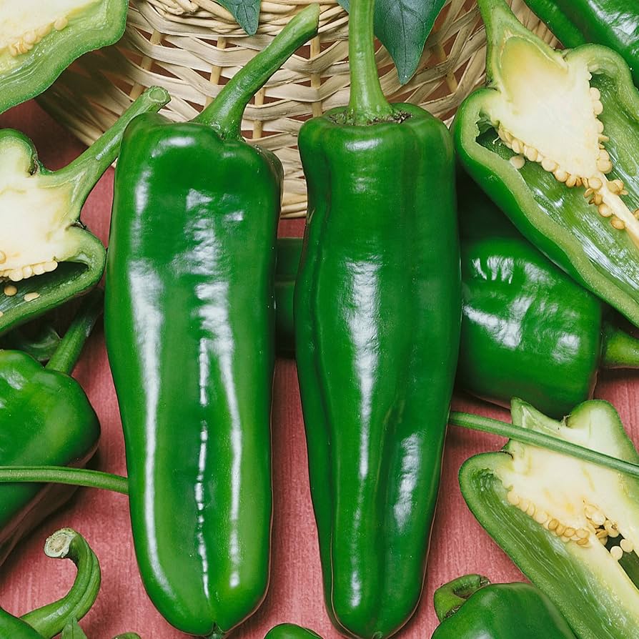 Italian Pepperoncini Seeds for Planting Capsicum Annuum for Pickling