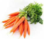 Carrot plants grown from seeds (400 pack) with long, orange roots and feathery green tops
