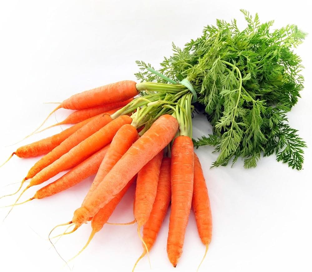 Carrot plants grown from seeds (400 pack) with long, orange roots and feathery green tops