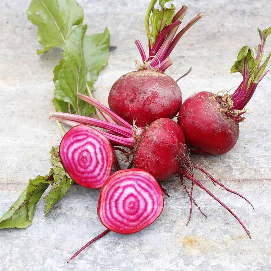 Chioggia Beet Beta vulgaris vegetable seeds for planting in kitchen garden beds